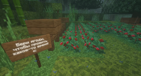 minecraft.ru (5).gif